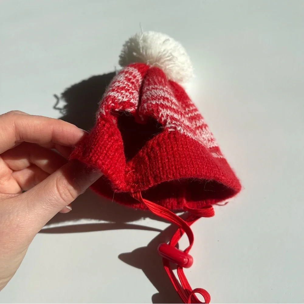Cat Wool Hat with Pom Pom